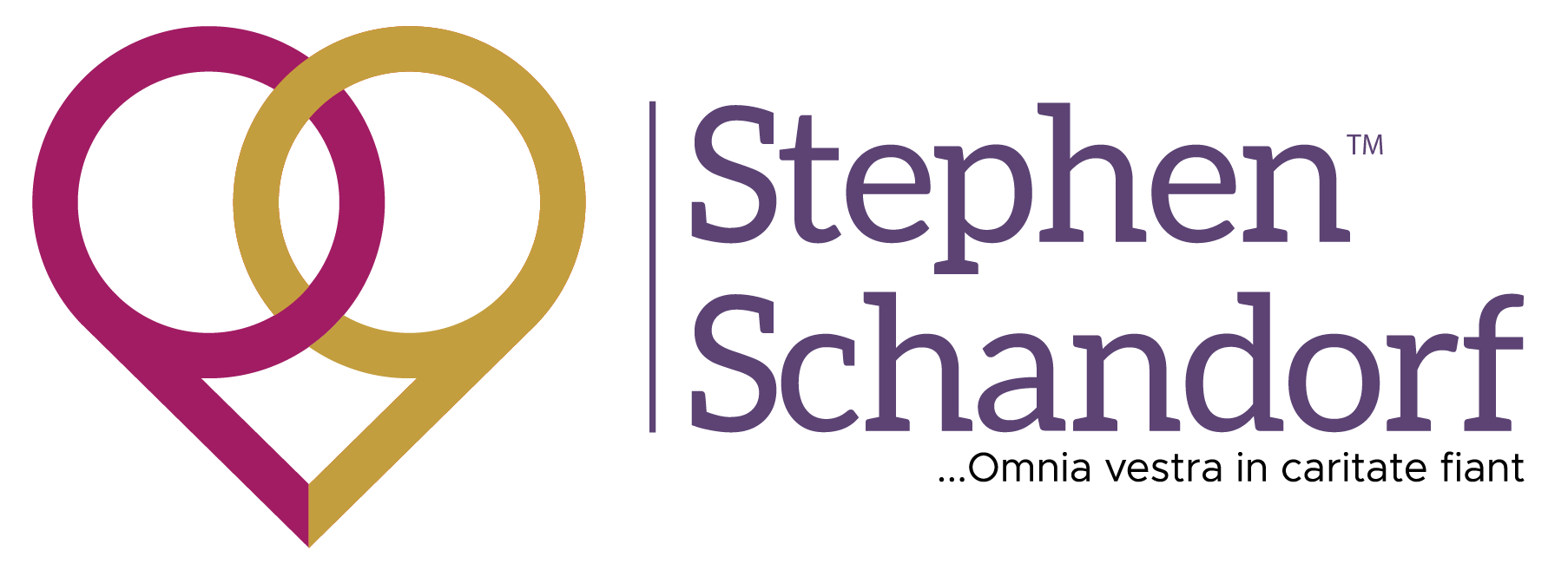 Stephen Schandorf Logo